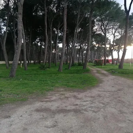 Club Marziotta Palagiano